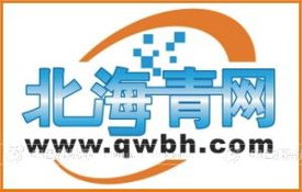 青蛙仔網絡代理 創新設計服務，開啟火爆招商新篇章